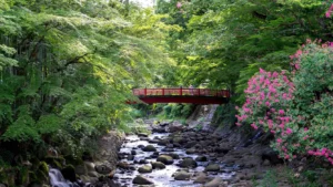 Izu Marriott Hotel Shuzenji