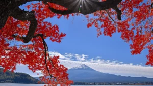 Fuji Marriott Hotel Lake Yamanaka